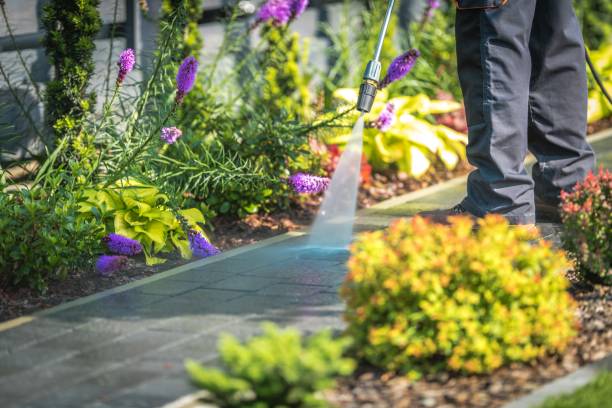 Marfa, TX Pressure Washing Services Company